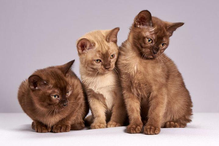 Die Unterkunft Steht Ab Sofort Nicht Mehr Zur Verfugung Appartment Is Finis 1 June - Thanks For All Your Andreas & 3 Cats リューベック エクステリア 写真